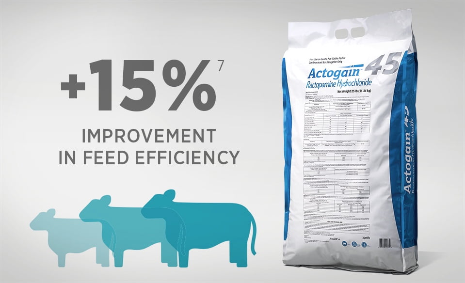 Feed Additive Solutions | Zoetis US