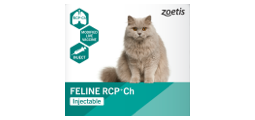 Feline RCP + Ch