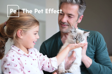 The Pet Effect